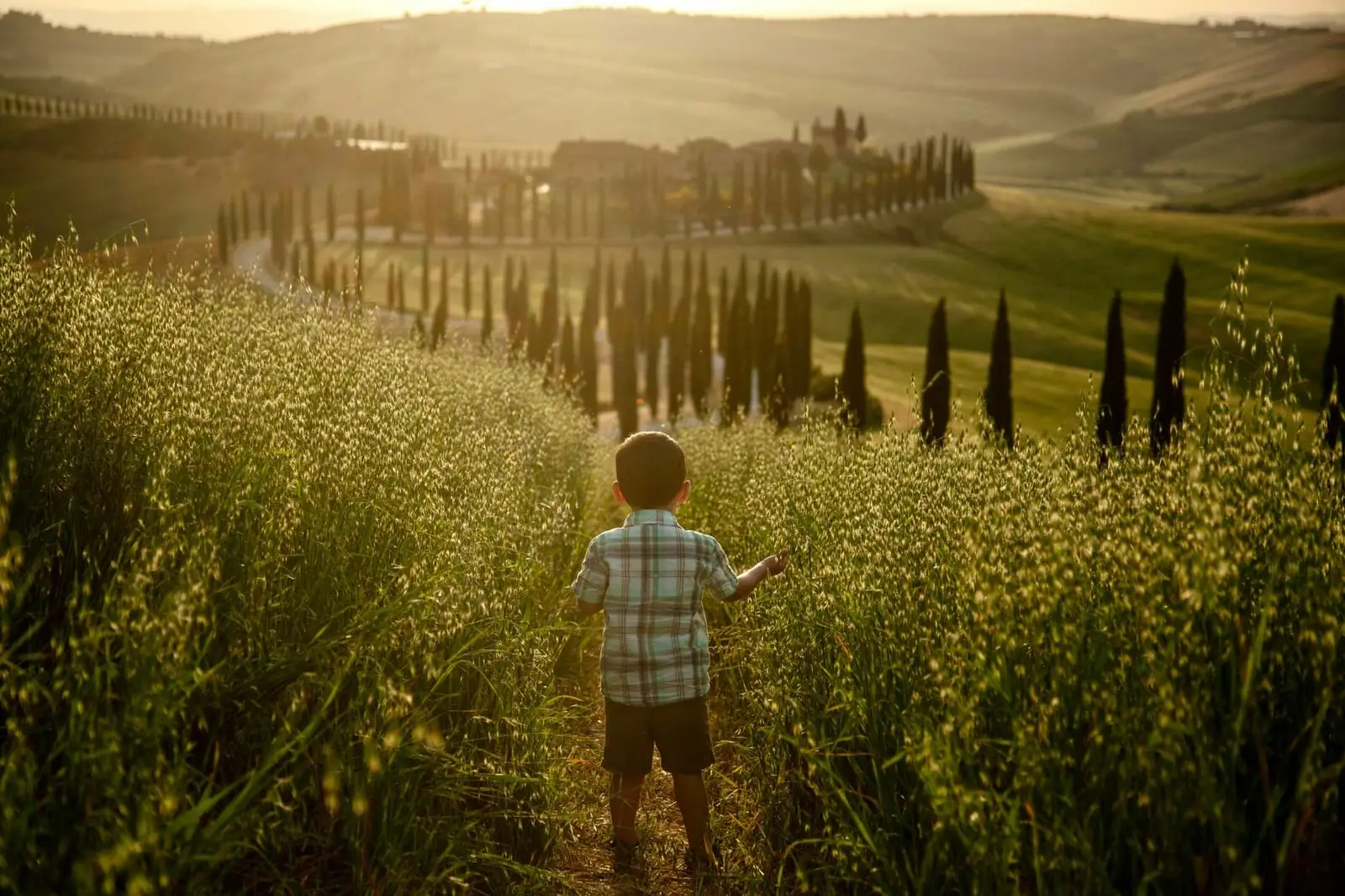 A toddler in tall grass above a cypress-lined road in Tuscany